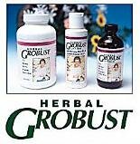 GroBustFamily7.0.JPG (8963 bytes)