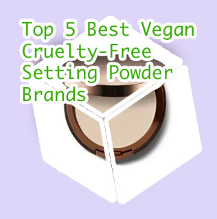 Best pressed setting powder