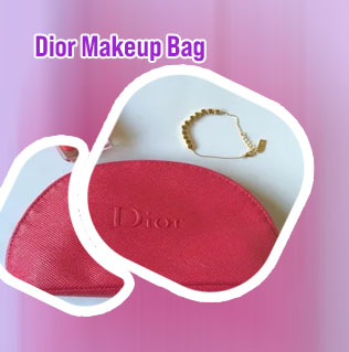 Dior makeup gift bag