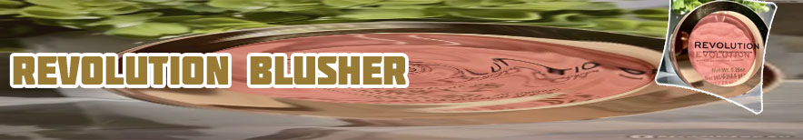 Makeup revolution reloaded blusher